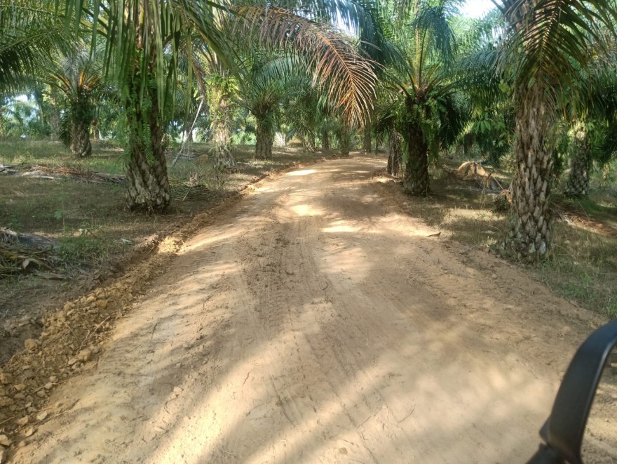 Desa Petangis Mendapatkan Program Pembangunan Jalan Produksi Tahun Anggaran 2024
